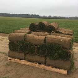 Tall Fescue Harvest - Products
