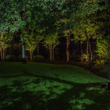 Landscape Lighting