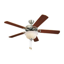 fans
