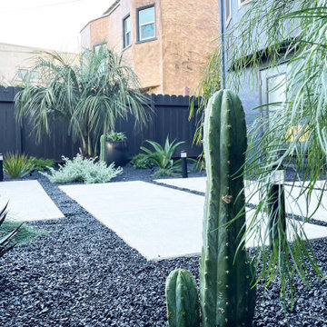 Mexico City Inspired Garden