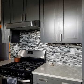Hyde Park Kitchen Remodel