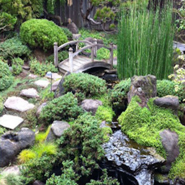 Water Features