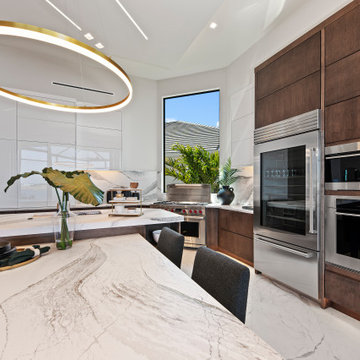 Sand Dollar Model