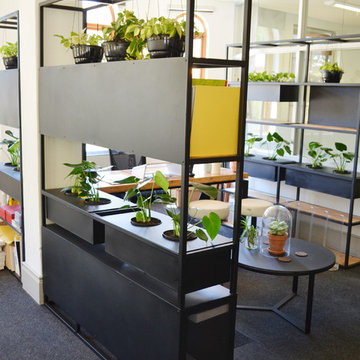 Office Renovation for an Advertising Agency Cape Town, South Africa