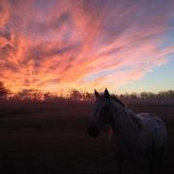 Nedra Beckham's photo