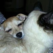 JoAnne Charette's photo
