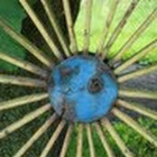 Foto von Elizabeth O. Thomas
