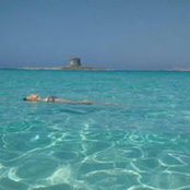 Foto von Susana Marques