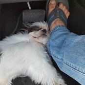 Benjamin Naranjo's photo
