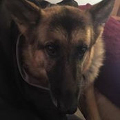 Lydia Jahner's photo