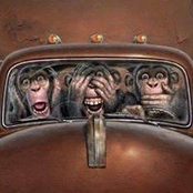 Roberta Wingard's photo