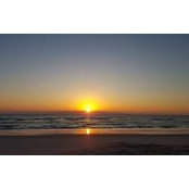 Patty Bartlett's photo