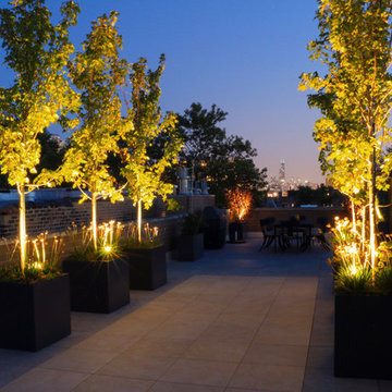Contemporary Lakeview Roof Deck