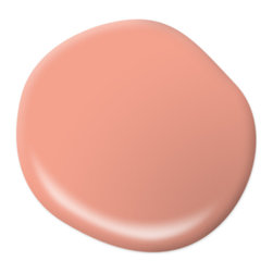 Peach Mimosa HDC-MD-18 - Paint
