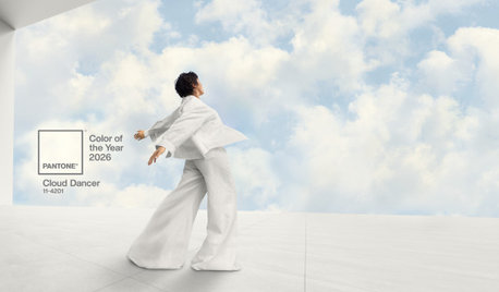 10 Ways to Use Cloud Dancer, Pantone’s 2026 Color of the Year