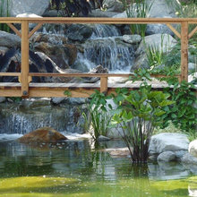 Ponds