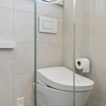 Small Bathroom Renovation in Little Portugal Toronto