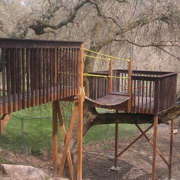 Tree Fort