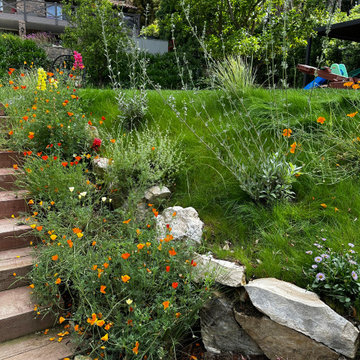 Childhood Oasis