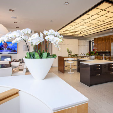 Lutron Lighting Control Dream