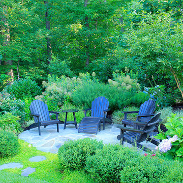 Award Winning Custom Pool in Alexandria, VA