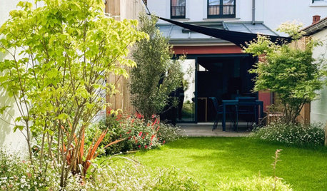 Avant/Après : L’aménagement modèle d’un micro-jardin urbain