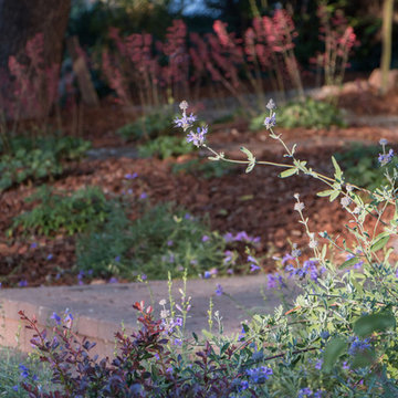Orinda 4