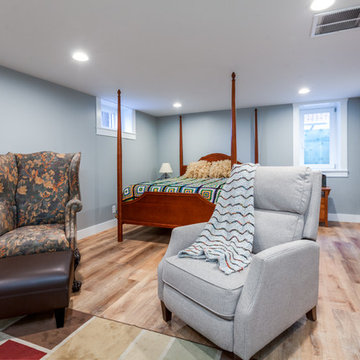 The 1920's Boulder Basement Finsh
