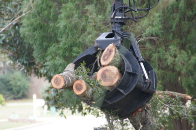 Tree Debris Hauling