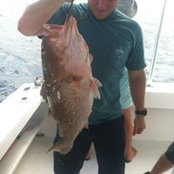 Nick Barnhart's photo