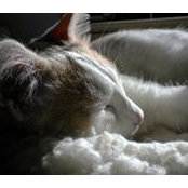 Maureen Nelson's photo