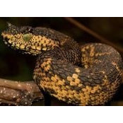 Parker Bankston's photo