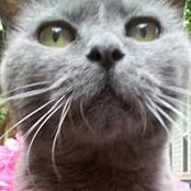 Sandra Davey's photo