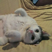 Xenia Kant's photo