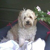 Bette McGuane's photo