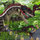 abdur_rafay7