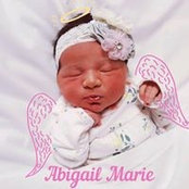 Stephanie Herold's photo