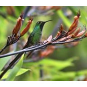 Linda Moore's photo
