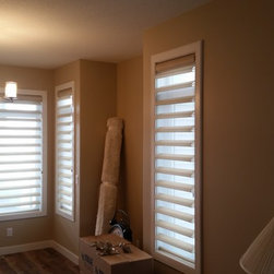 Hunter Douglas Pirouette - Roman Shades