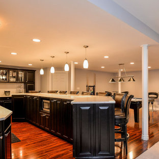 Large contemporary look-out basement in Chicago with grey walls, vinyl flooring, no fireplace and red floors.