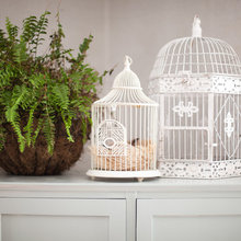 cute decor