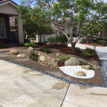 San Diego Drought Tolerant Front Yard by Modern Zen Garden