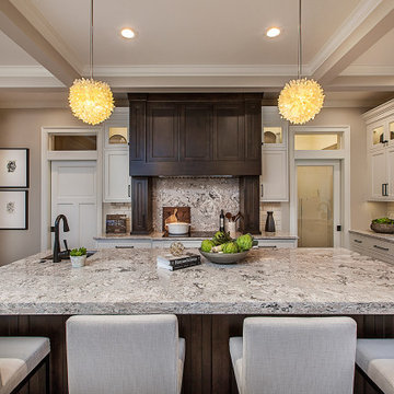 Transitional Dream Kitchen