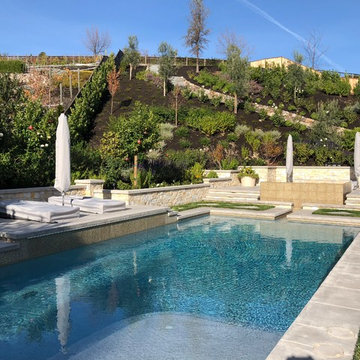 Alamo Hillside Extreme Pool Make over