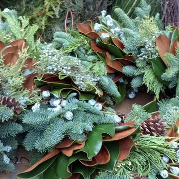 Christmas window boxes in Brooklyn