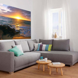 National Geographic Murals - Wall Decals