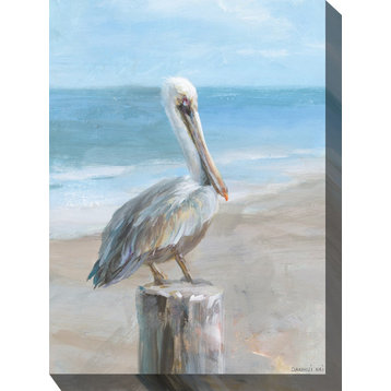 Pelican Portrait Canvas Art Print, 30"x40"