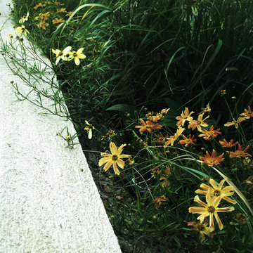 Residential Garden, Louisville, Est. 2012