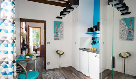 Houzz Tour: A Tiny Flat in Paris Gets a Bright and Colourful New Look