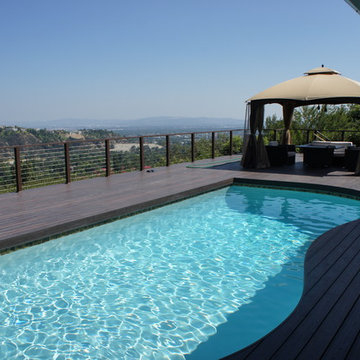 IPE color PVC DECK